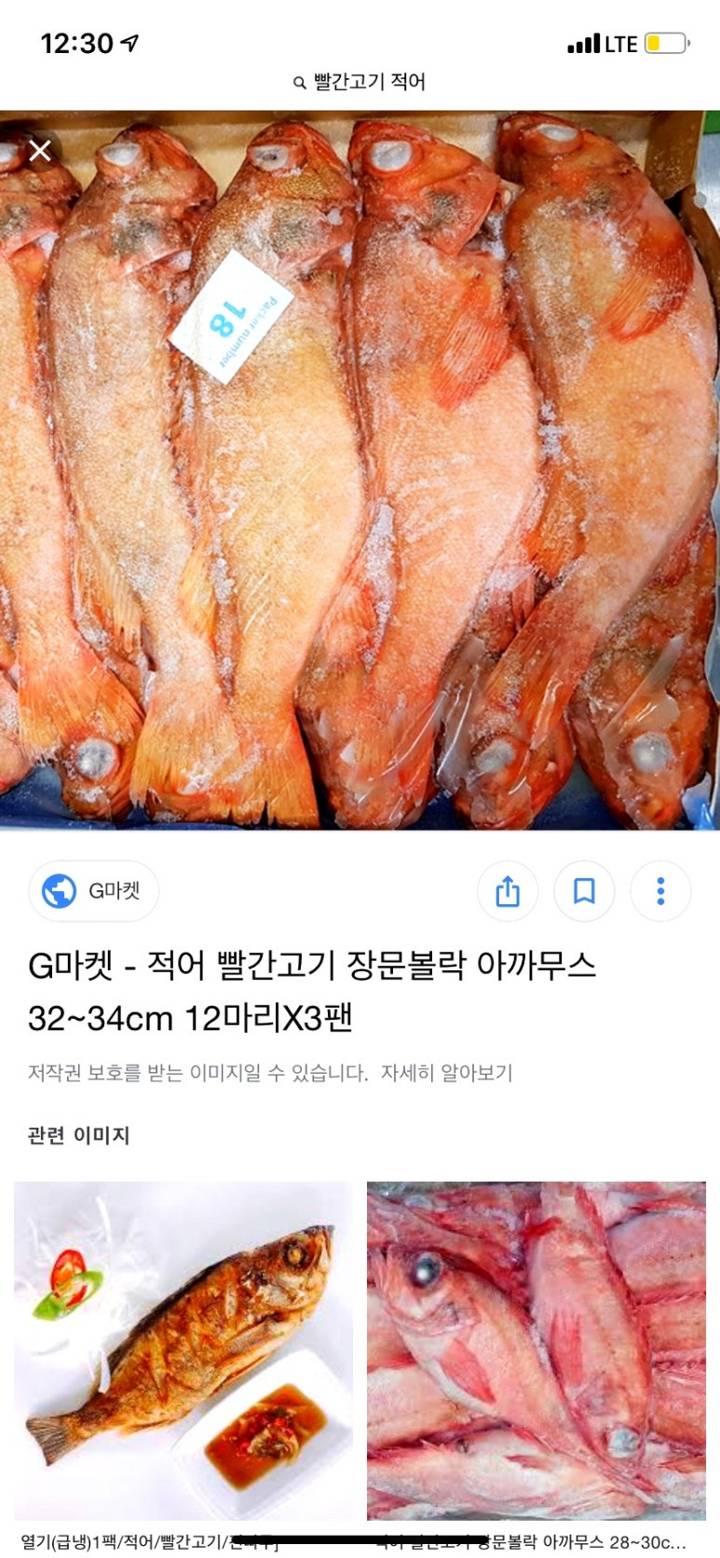 장문볼락