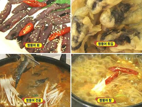 짱뚱어