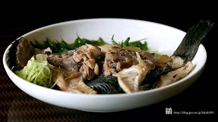 조피볼락