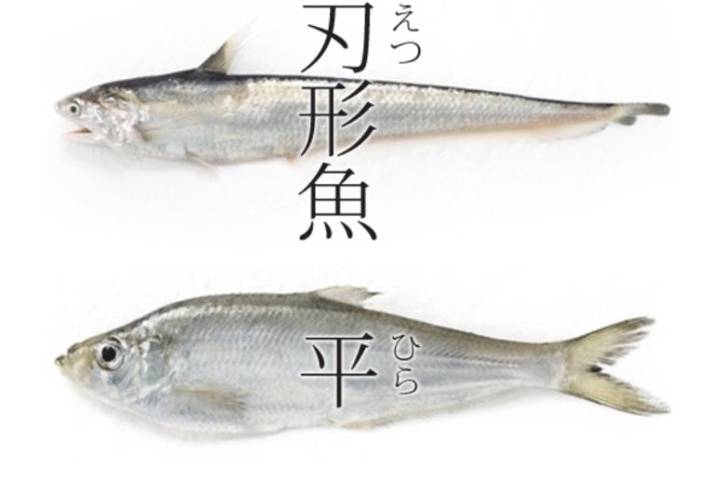 준치