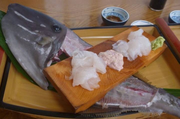 쥐치