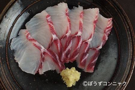 까치상어