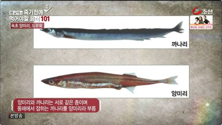 까나리