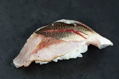 꼬치고기