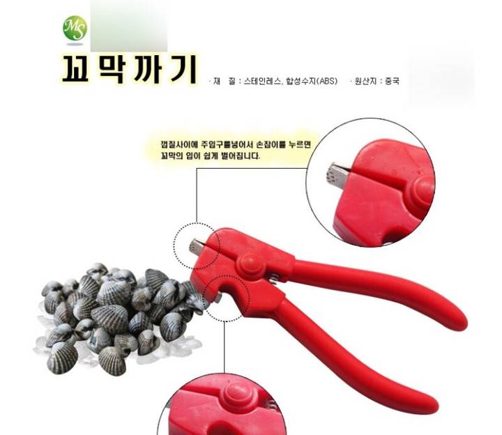 꼬막