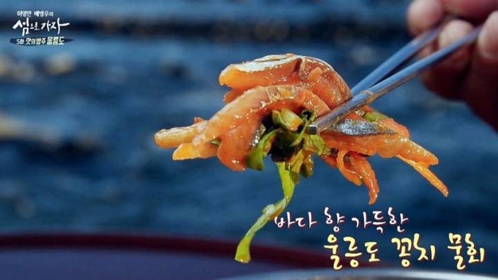꽁치