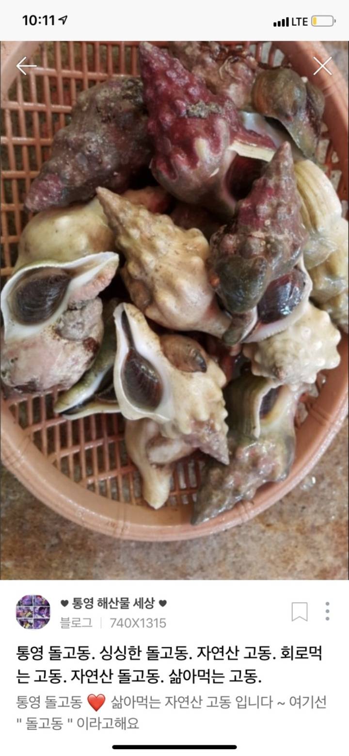 매끈이고둥