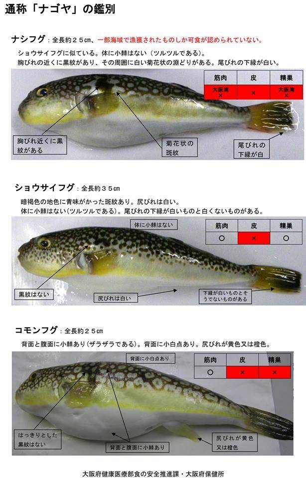 매리복