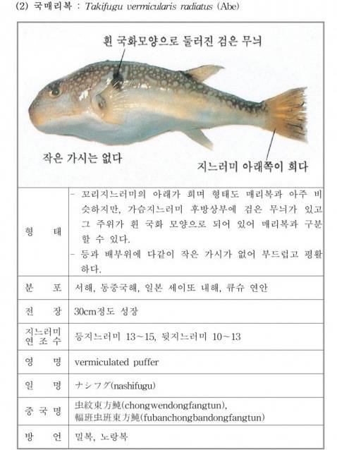 매리복