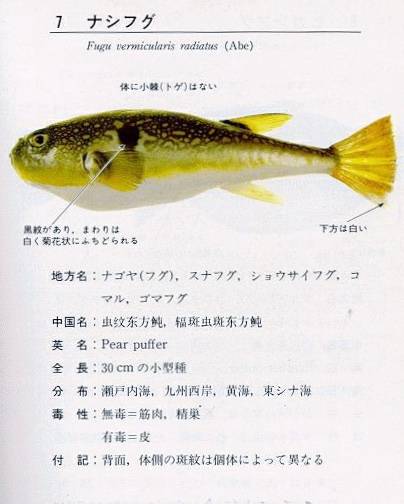 매리복