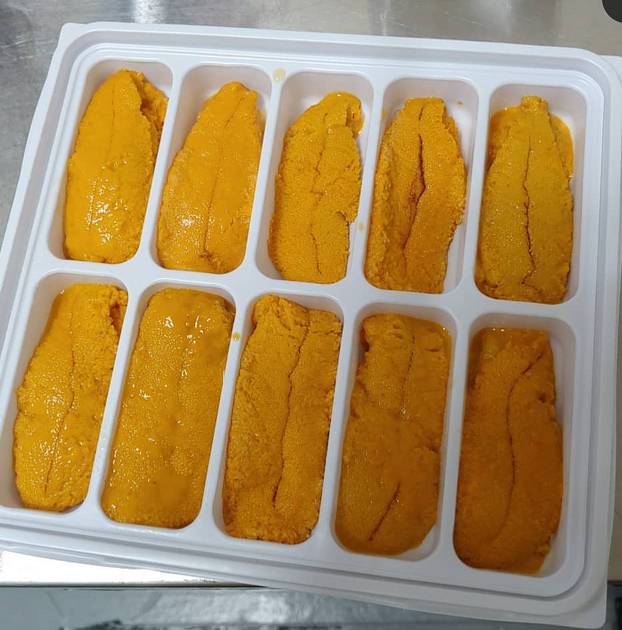 말똥성게