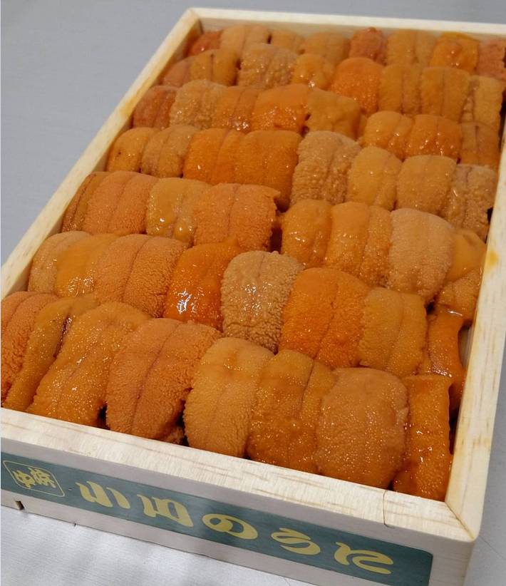 말똥성게
