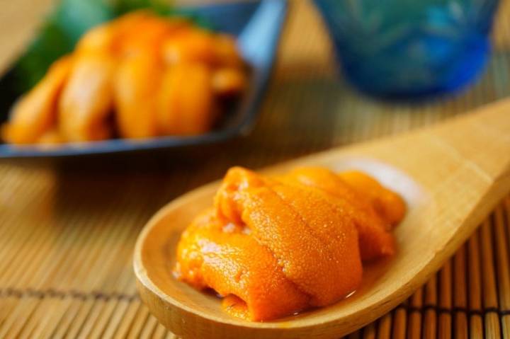 말똥성게