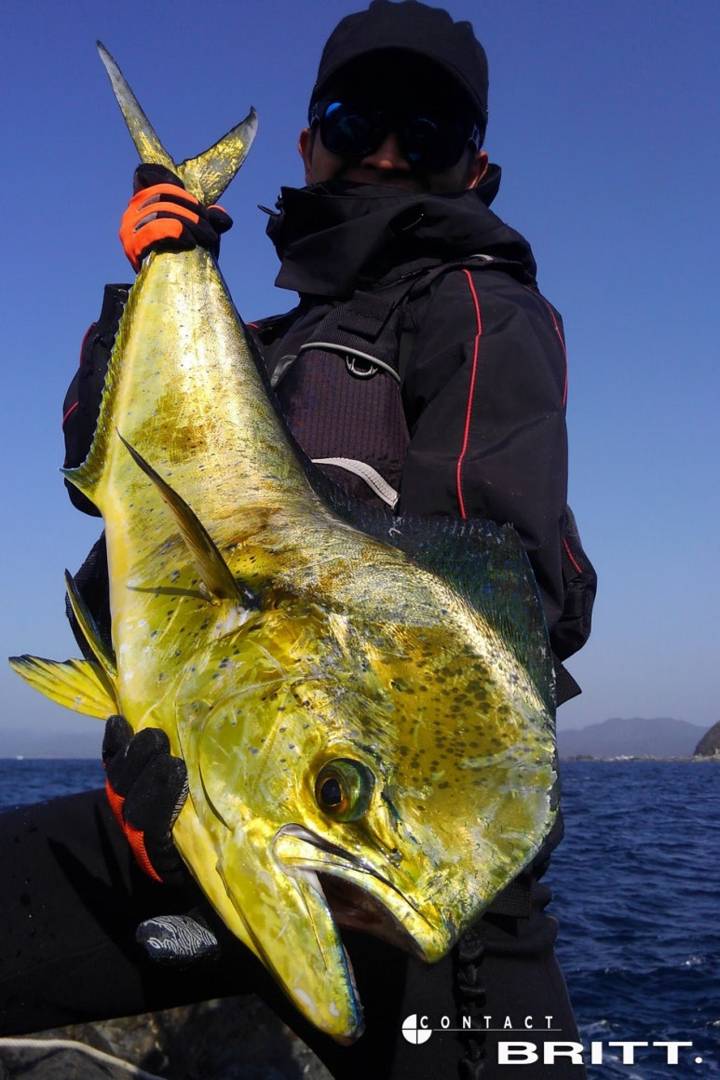만새기