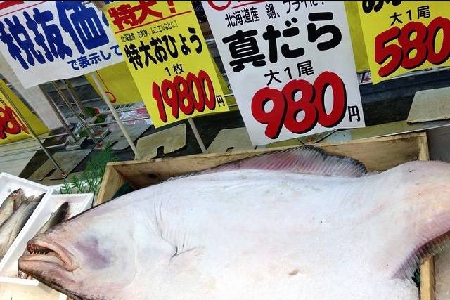 마설가자미