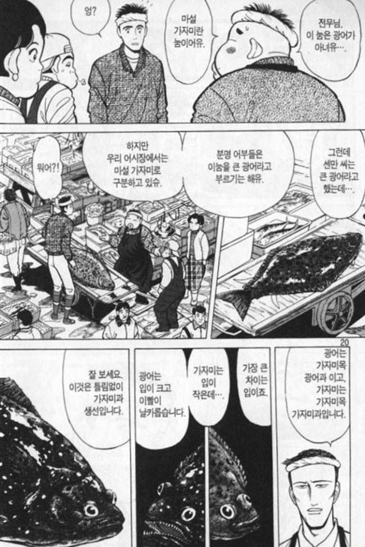 마설가자미