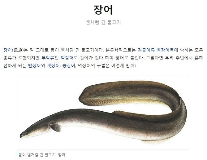 먹장어