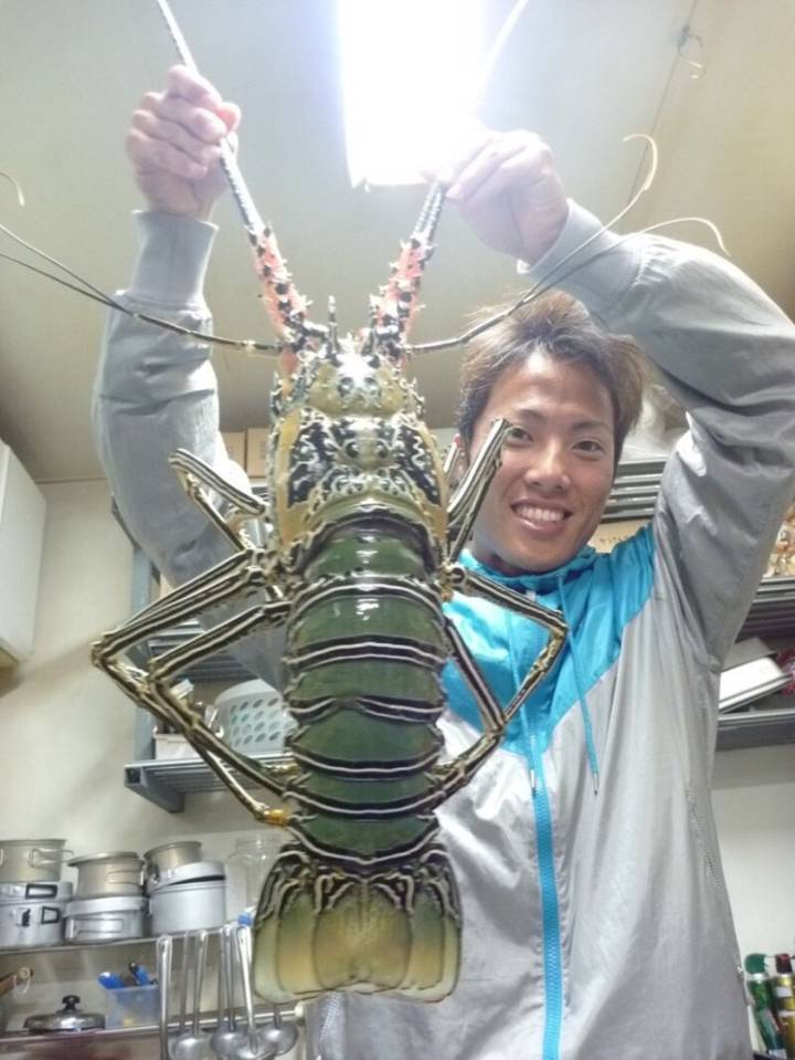 멋쟁이닭새우