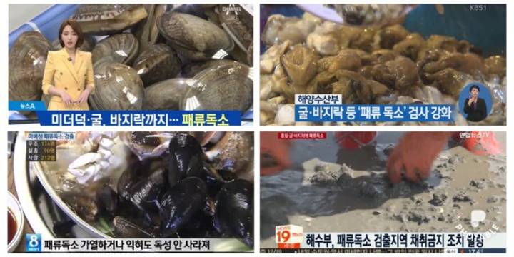 민들조개