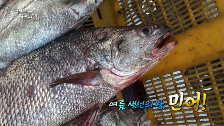 민어