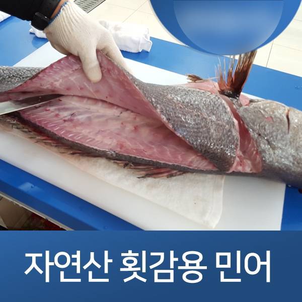 민어