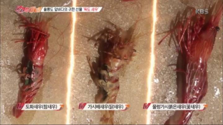 물렁가시붉은새우