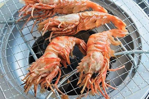 물렁가시붉은새우