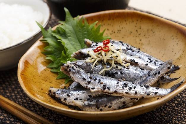 멸치과