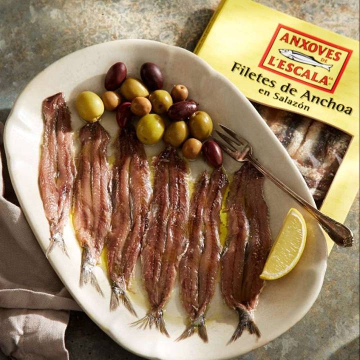 멸치과