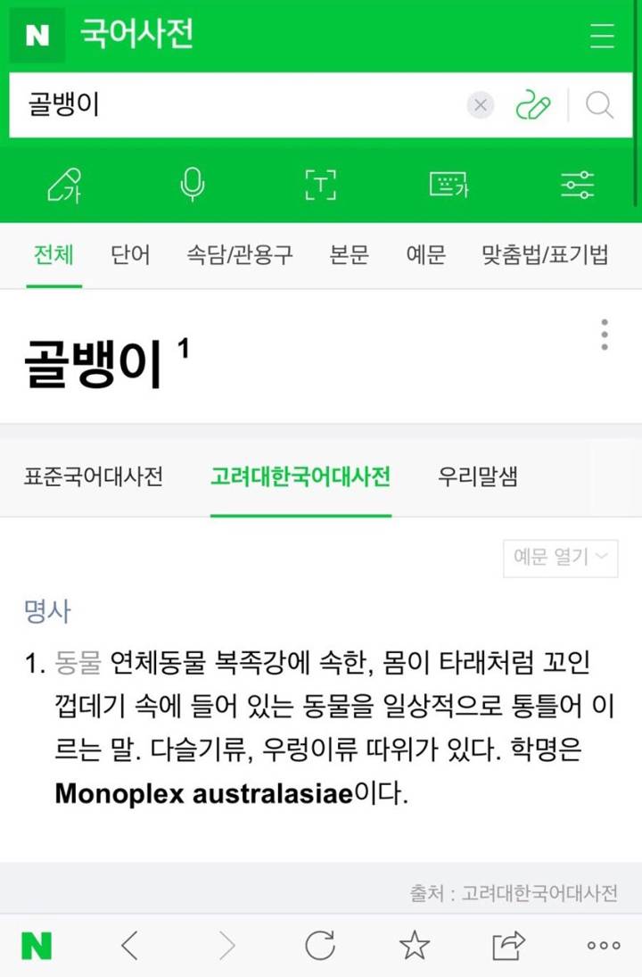 명주매물고둥