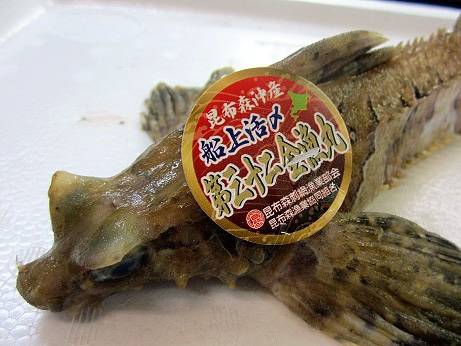 날개줄고기