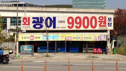 넙치