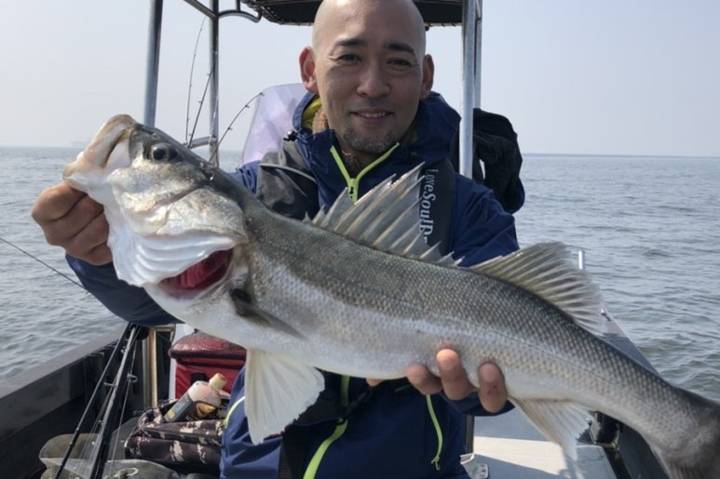 농어