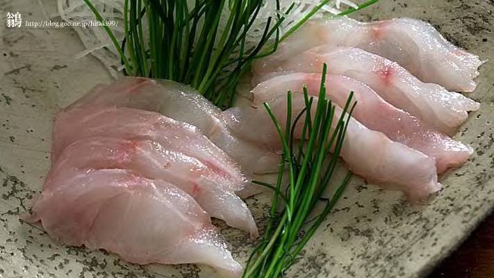 노랑볼락