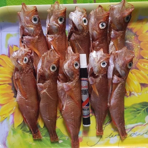 노랑볼락