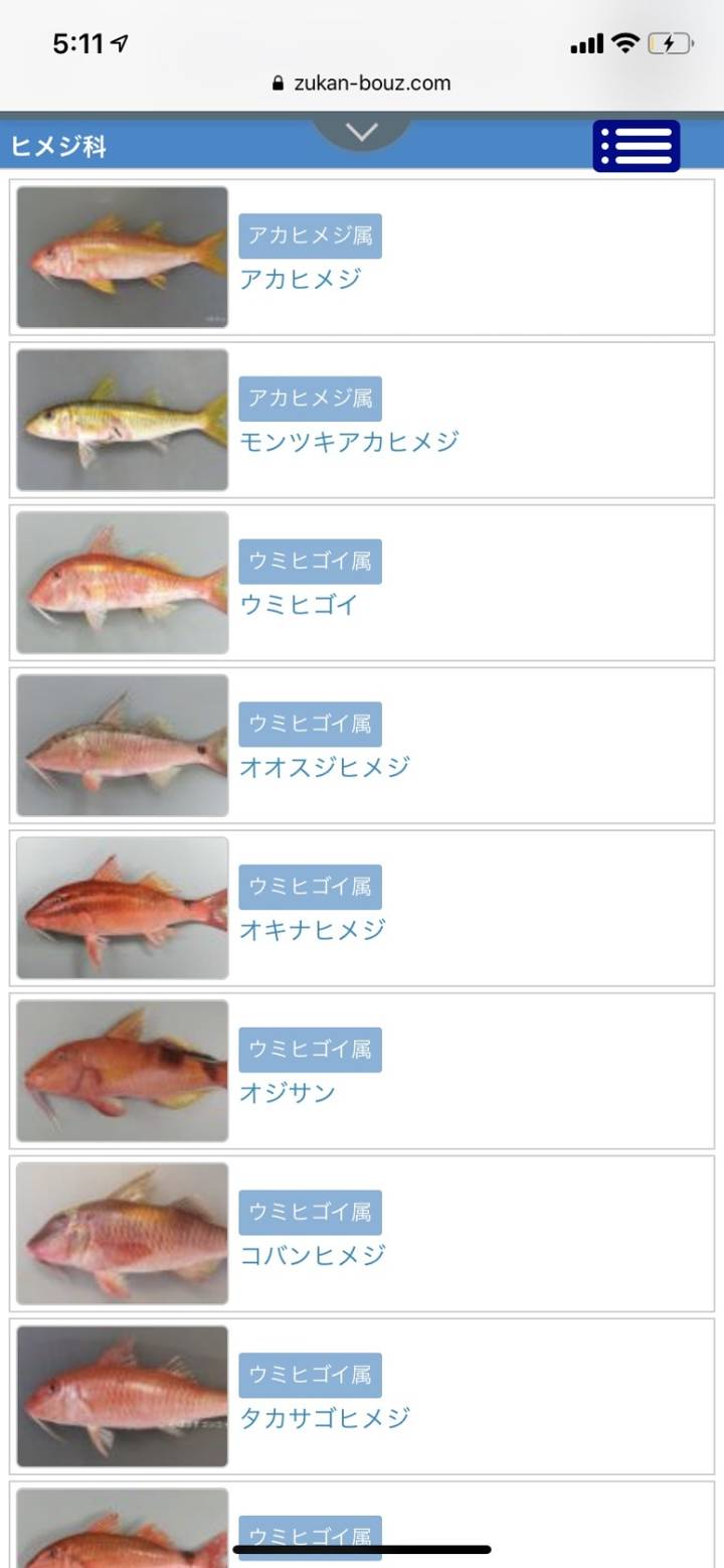 노랑촉수