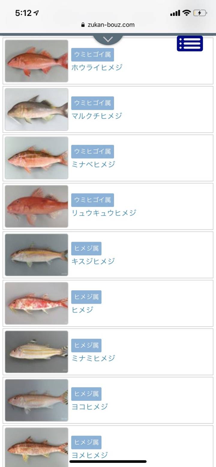 노랑촉수