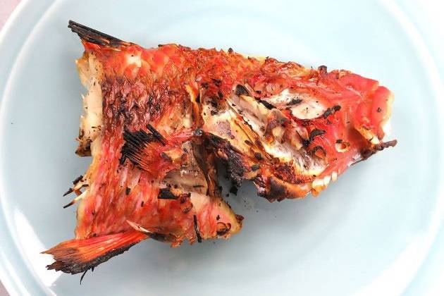 노랑촉수