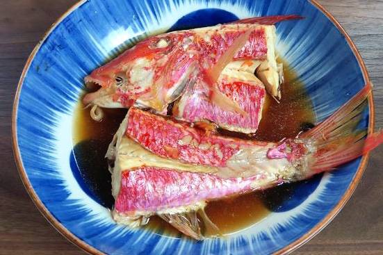 노랑촉수
