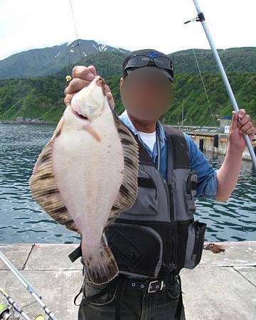 노랑가자미