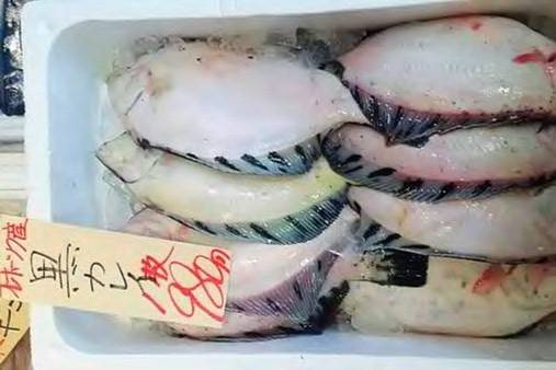 노랑가자미