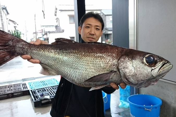 눈볼대