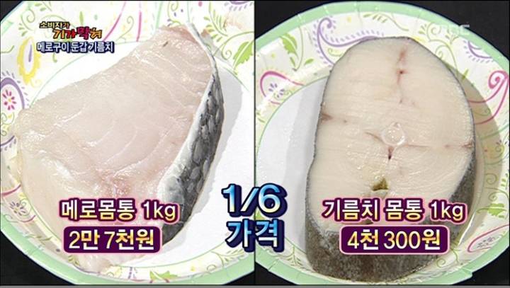 파타고니아이빨고기