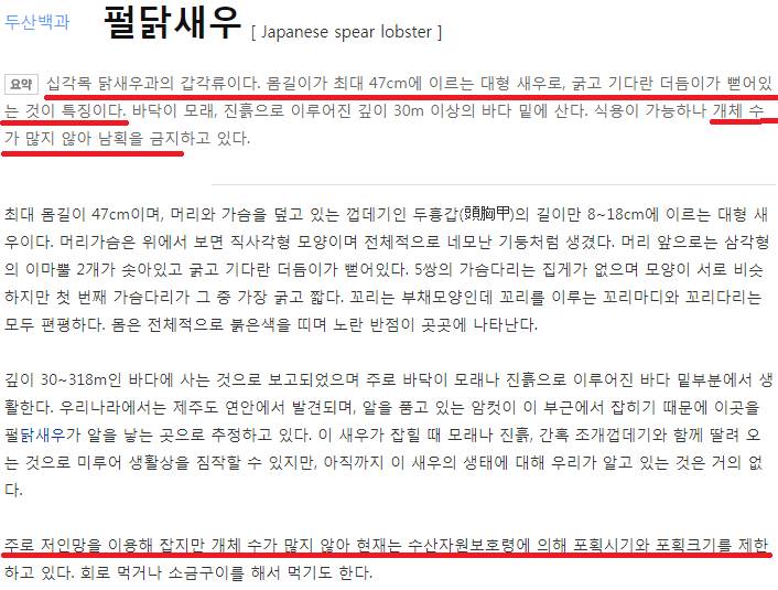 펄닭새우