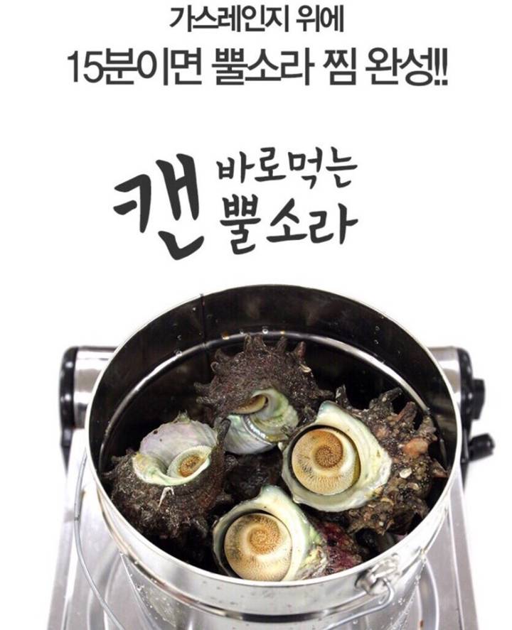 피뿔고둥