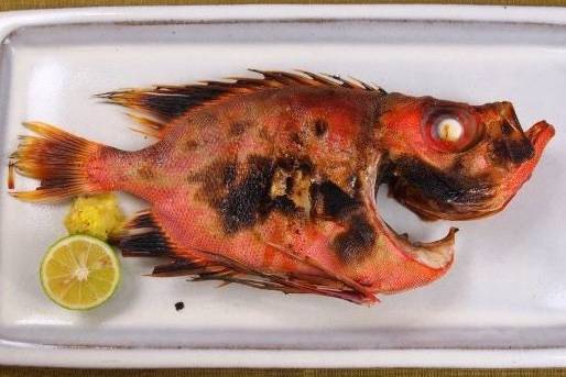 뿔돔