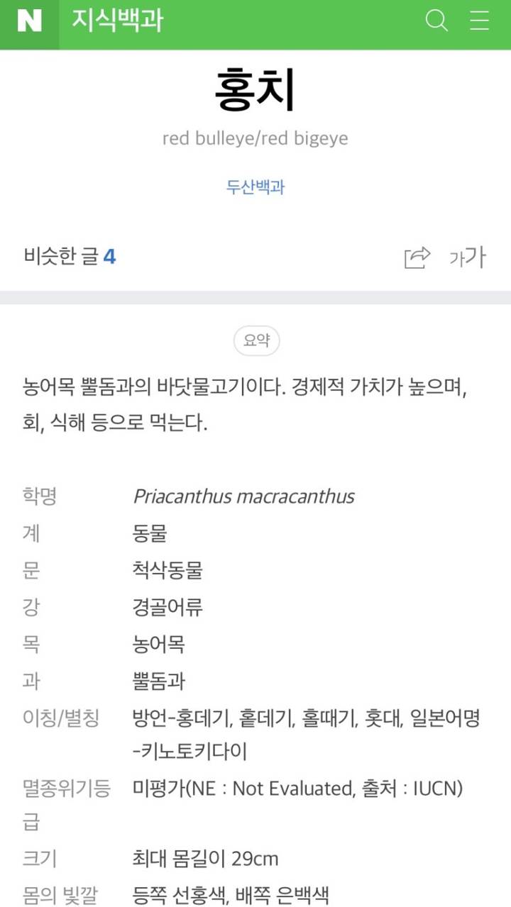 뿔돔