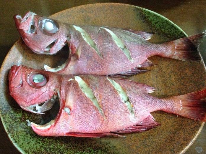 뿔돔