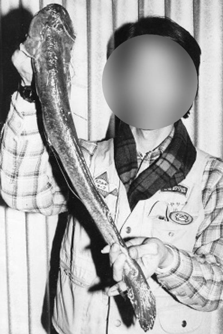 풀망둑