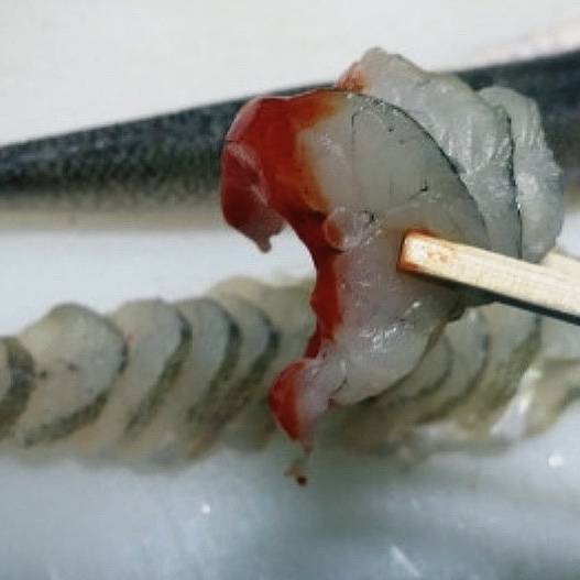 풀망둑